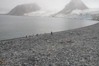
DSC00151